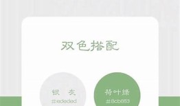 最新抖音新地址分享，轻松获取全网热门短视频资源！