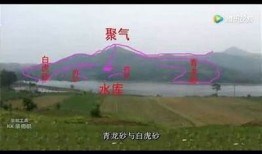 探索抖阴大湿总群：掌握最新动态与精彩内容分享