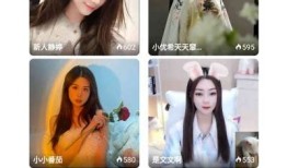 抖阴破解版最新测试：为何无法正常使用及解决方法