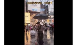 抖音猫咪搞笑瞬间合集，萌宠趣事让你捧腹大笑！