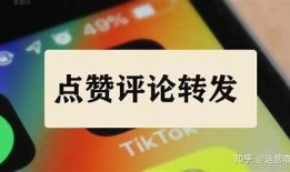 抖音热门内容解析：如何快速提升视频播放量和点赞数？