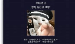 抖阴大J8揭秘：如何玩转短视频赚钱新模式与技巧检视