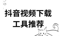 抖音1.6破解版本下载及使用指南，以满足您的所有需求