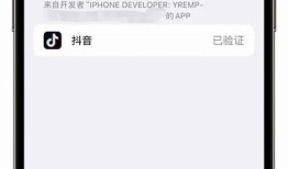 iOS版抖音JS下载链接及使用教程，轻松上手无限乐趣