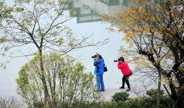 抖阴直播软件：畅享高清直播，带你领略精彩全景体验！
