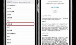 此抖阴非彼抖音，详解下载安装方法与注意事项