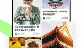 抖音运用免费下载：快速获取最新版本及使用技巧