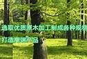 抖阴老司机86苹果最新分享：畅享精彩视频平台的秘笈