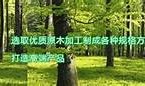 抖阴老司机86苹果最新分享：畅享精彩视频平台的秘笈