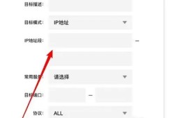 最新抖音域名无法访问，解决方法与替代方案解析