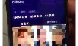 成人抖阴视频APP推荐：最受欢迎的高清在线播放平台