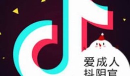 抖阴邪恶软件下载：揭秘隐藏功能与使用技巧