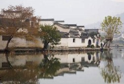 探索抖阴台湾：特有风景与人文特色视频合集