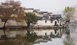 探索抖阴台湾：特有风景与人文特色视频合集