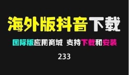 抖音国际版2025最新客户端下载指南与使用技巧