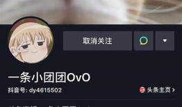 小A团队揭秘抖阴新玩法，助你轻松提升互动影响！