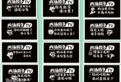 揭秘内涵段子的幽默与深意，探讨抖阴文化情况