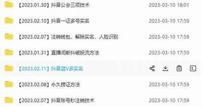 最新抖阴安卓破解教程2023：轻松获取高级功能
