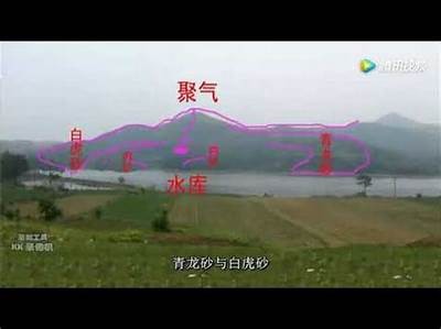 探索抖阴大湿总群：掌握最新动态与精彩内容分享