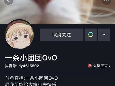 小A团队揭秘抖阴新玩法，助你轻松提升互动影响！