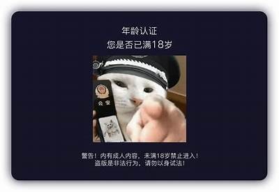 揭秘抖阴破解牌的使用技巧与攻略，让你轻松玩转抖音
