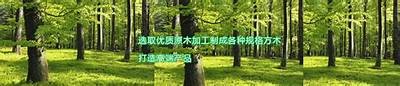 抖阴老司机86苹果最新分享：畅享精彩视频平台的秘笈