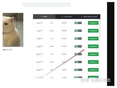 详解如何在抖音上下载喜欢的视频，快速获取无水印版