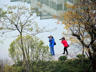 抖阴直播软件：畅享高清直播，带你领略精彩全景体验！